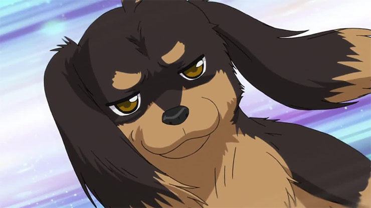 Best Anime Dogs Ranked