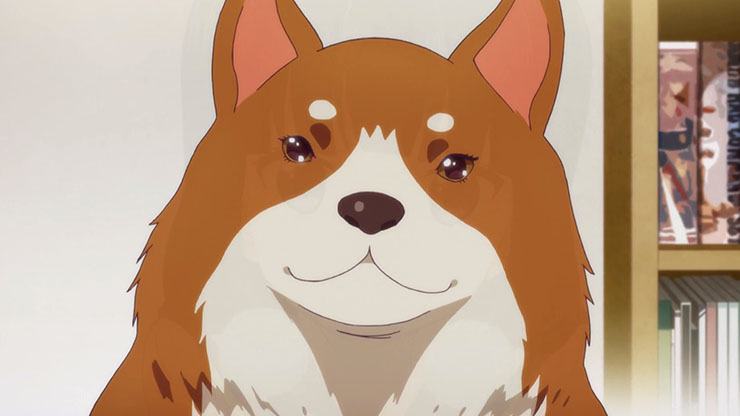 Top 20 Cute Anime Dogs  MyAnimeListnet