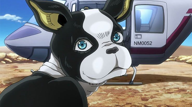 Share 74 dog characters anime  induhocakina