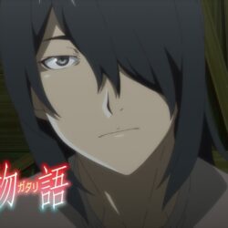 Monogatari Series Drops Trailer Featuring Long-Haired Araragi in Shinobumonogatari Arc